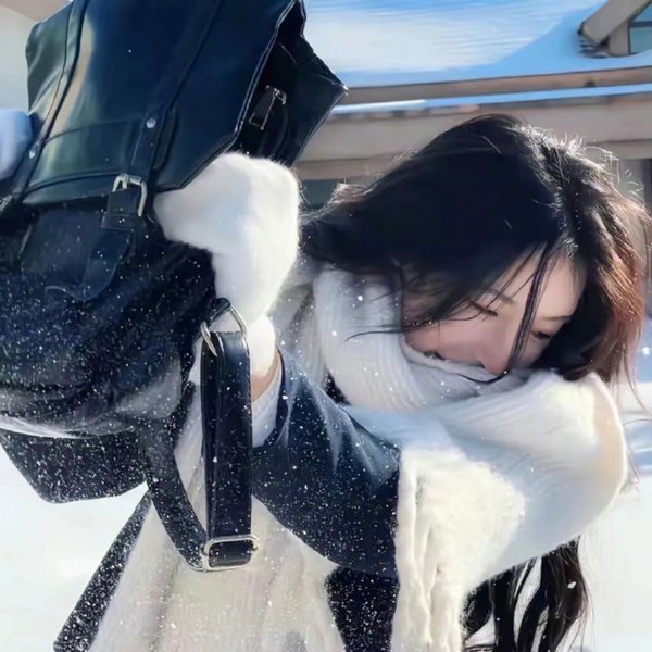 联邦大蠢探